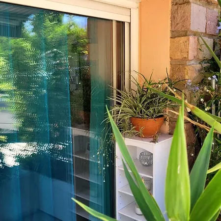 And Garden Blue Eden, Plages De Saint-raphael Cote D Azur *
